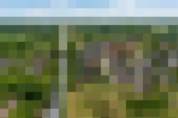 Bastionstraat 3 Bredevoort thumbnail 45