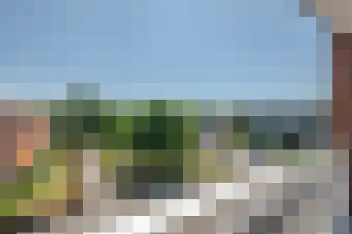 Batavenoord 21 Rotterdam thumbnail 16
