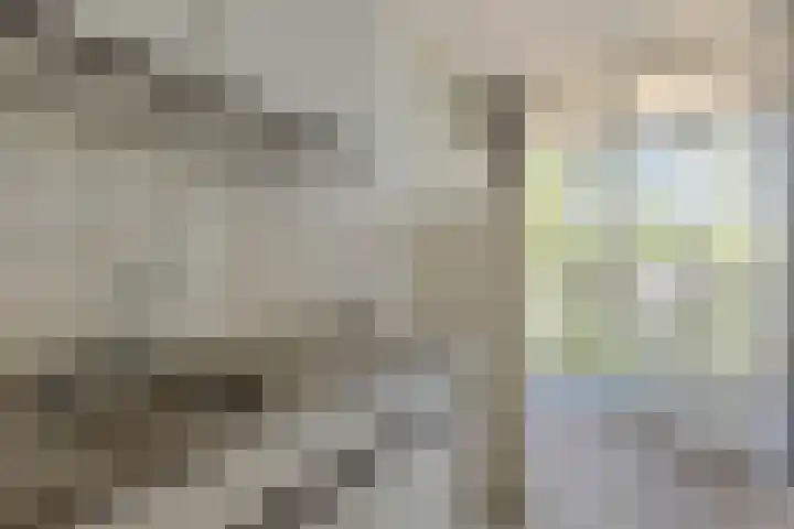 Batavenoord 21 Rotterdam thumbnail 19