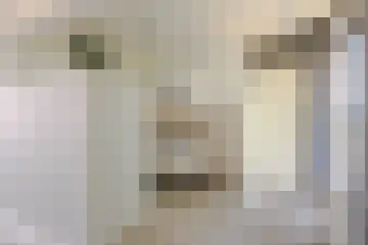 Batavenoord 21 Rotterdam thumbnail 20