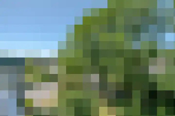 Batavenoord 21 Rotterdam thumbnail 23