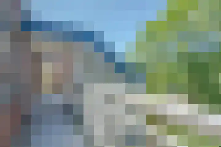 Batavenoord 21 Rotterdam thumbnail 25
