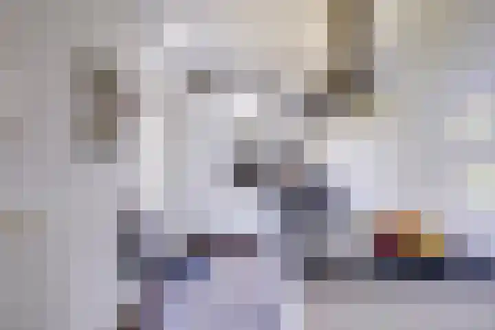 Bataviastraat 3 Utrecht thumbnail 18