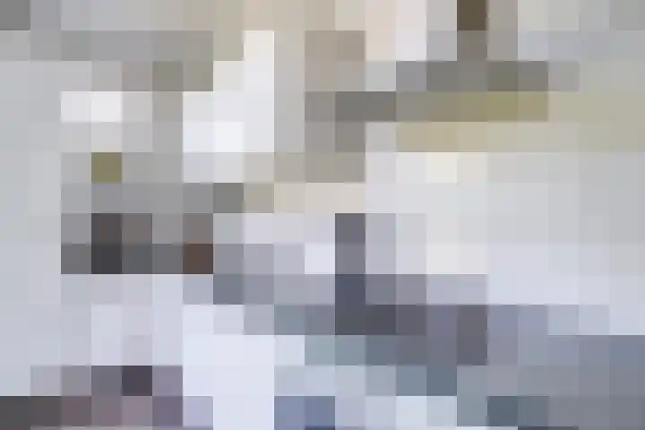 Bataviastraat 3 Utrecht thumbnail 19