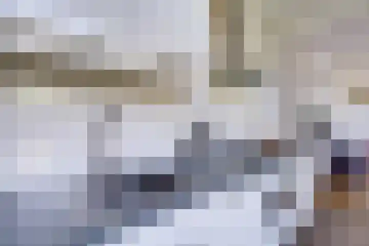 Bataviastraat 3 Utrecht thumbnail 20