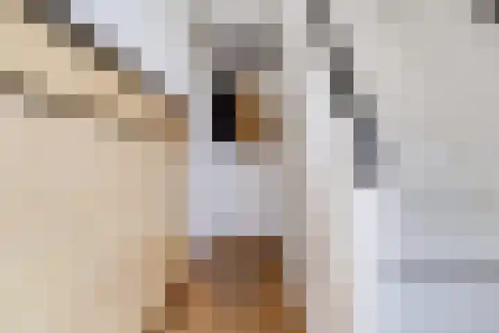 Bataviastraat 3 Utrecht thumbnail 25