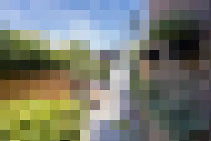 Bataviastraat 3 Utrecht thumbnail 40