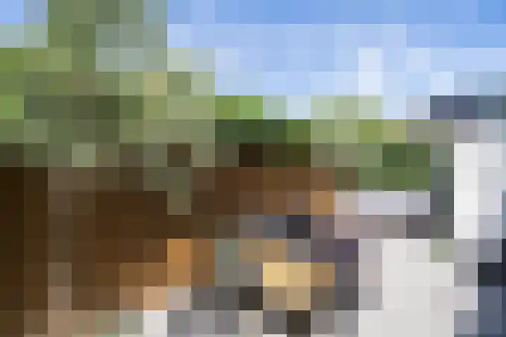 Bataviastraat 3 Utrecht thumbnail 42