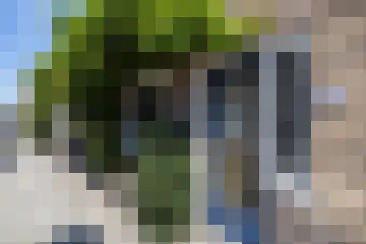 Bataviastraat 3 Utrecht thumbnail 5