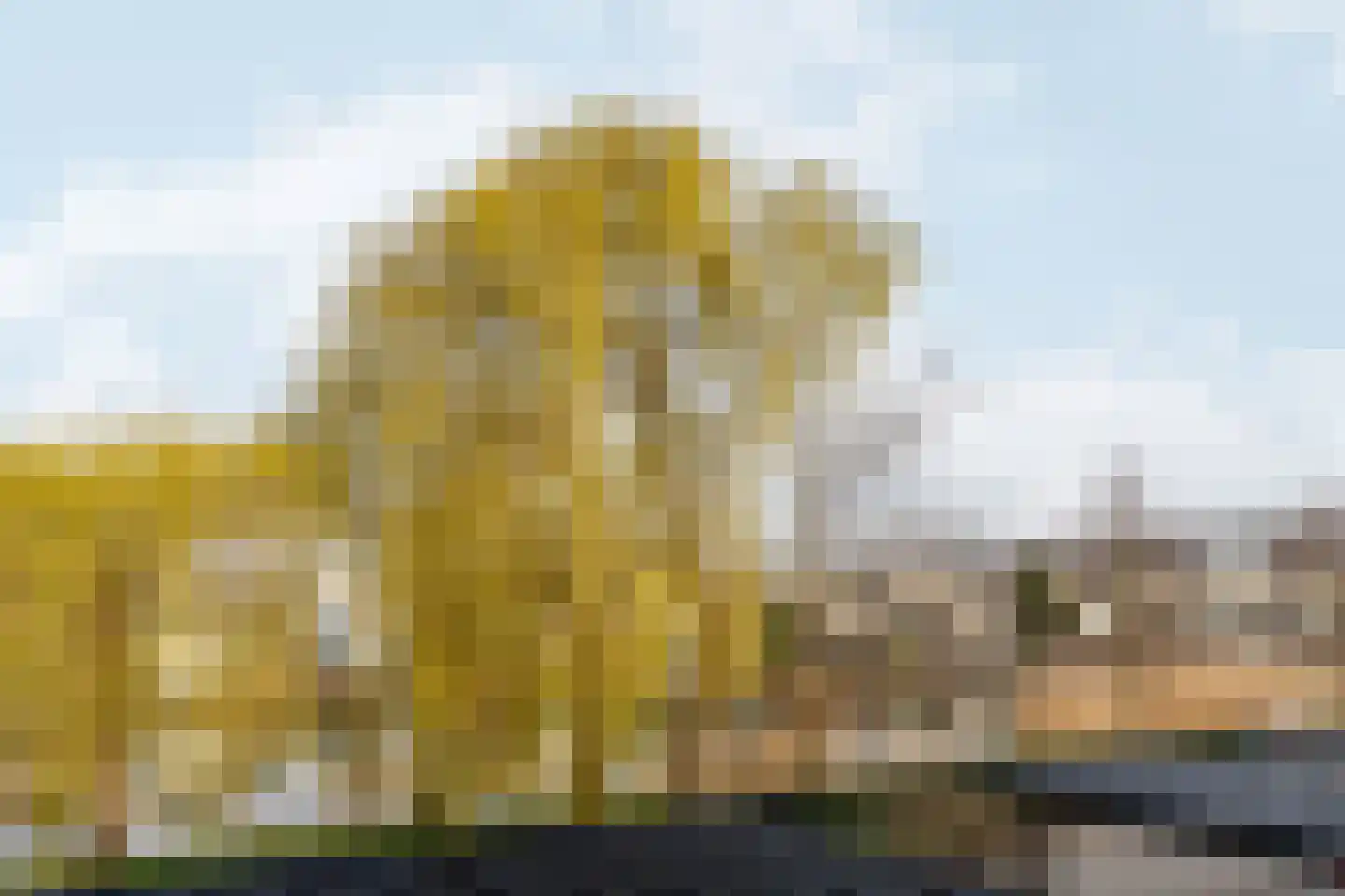 Bataviastraat 36 Almere thumbnail 36