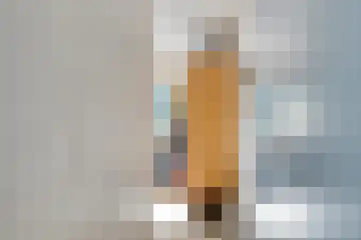Batenburg 238 Deventer thumbnail 18
