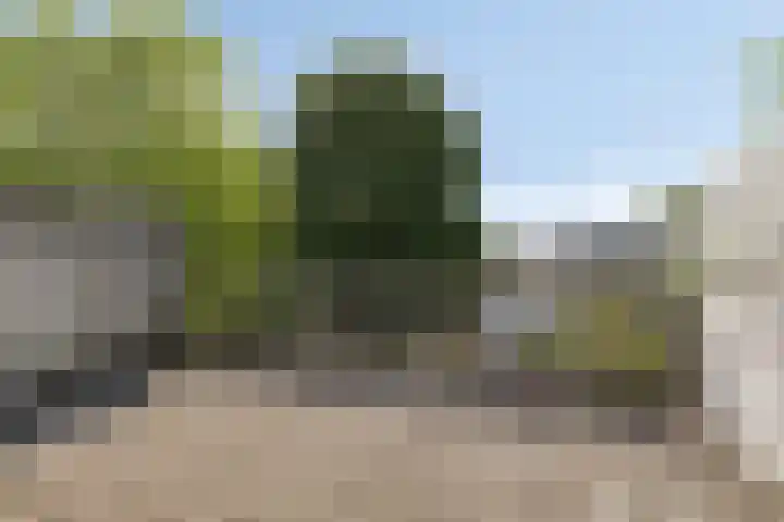 Batenburg 238 Deventer thumbnail 23