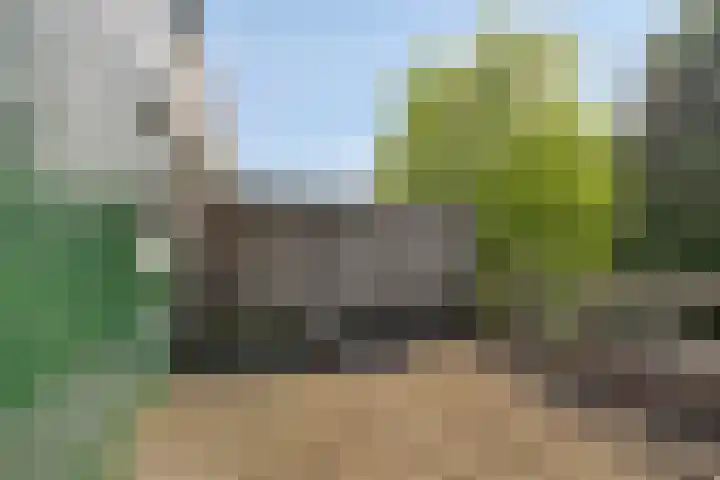 Batenburg 238 Deventer thumbnail 24