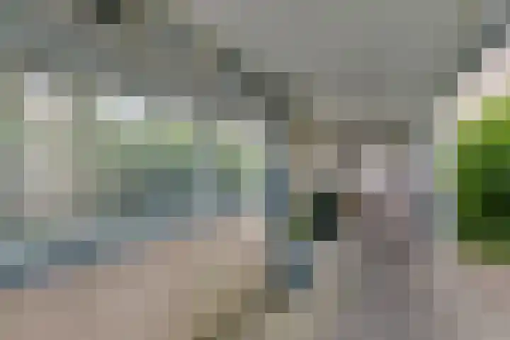 Batenburg 238 Deventer thumbnail 27