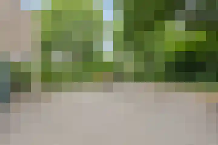 Batenburg 238 Deventer thumbnail 30