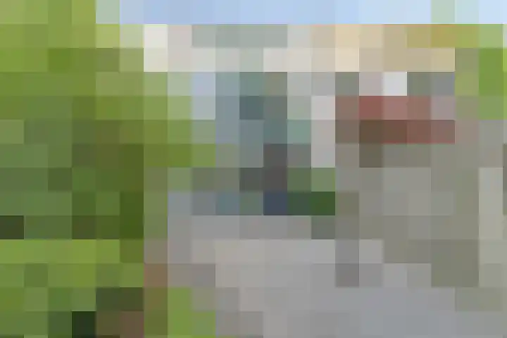 Batenburg 238 Deventer thumbnail 37