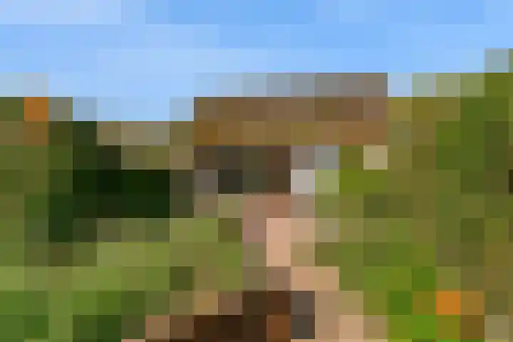 Batestein 2 A Harmelen thumbnail 33