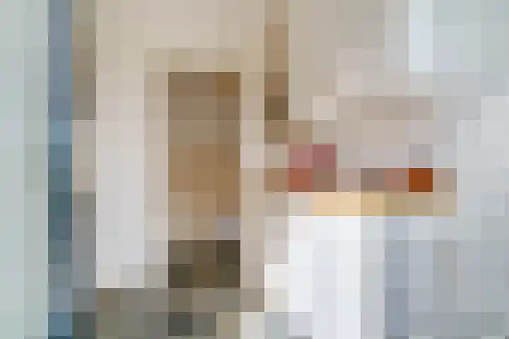 Batestein 2 A Harmelen thumbnail 38