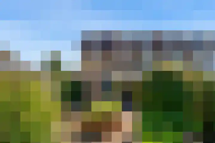 Batestein 2 A Harmelen thumbnail 41