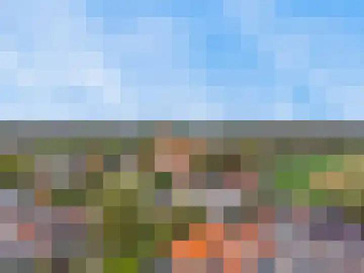 Batestein 2 A Harmelen thumbnail 46