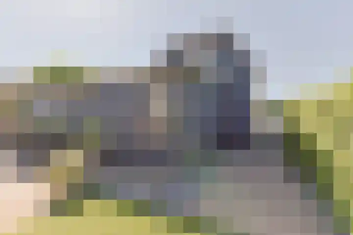 Bateweg 1 Woubrugge thumbnail 54