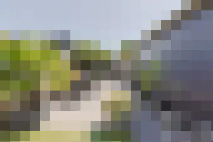Bateweg 1 Woubrugge thumbnail 55