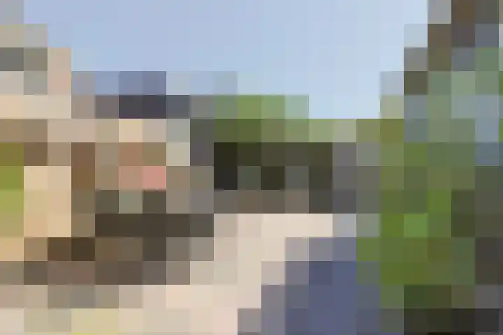 Bateweg 1 Woubrugge thumbnail 57