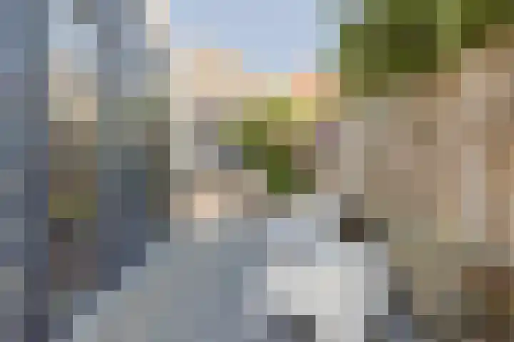 Bateweg 1 Woubrugge thumbnail 60