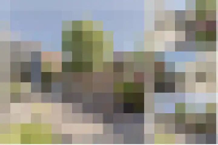 Bateweg 1 Woubrugge thumbnail 67
