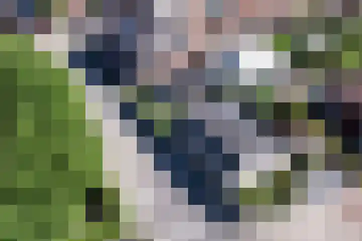 Bateweg 1 Woubrugge thumbnail 97