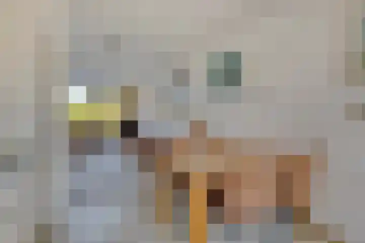 Bateweg 64 Woubrugge thumbnail 13