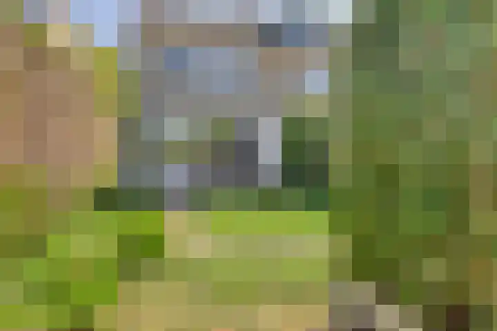 Bateweg 64 Woubrugge thumbnail 29