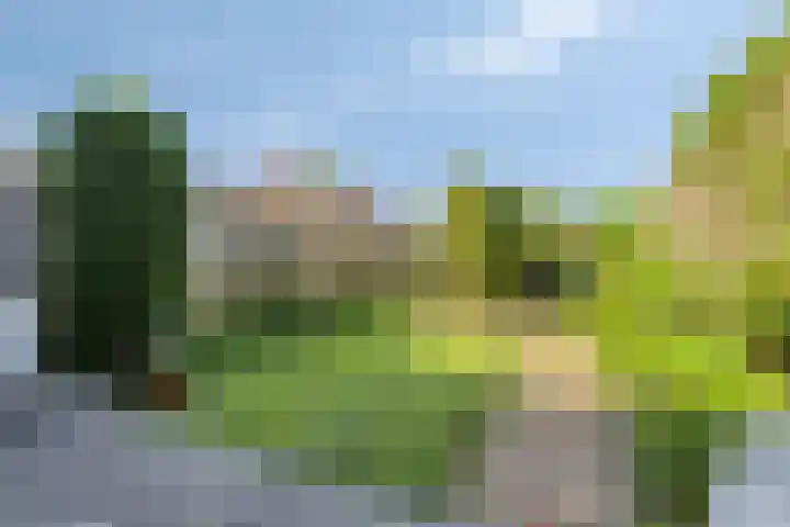 Bateweg 64 Woubrugge thumbnail 30
