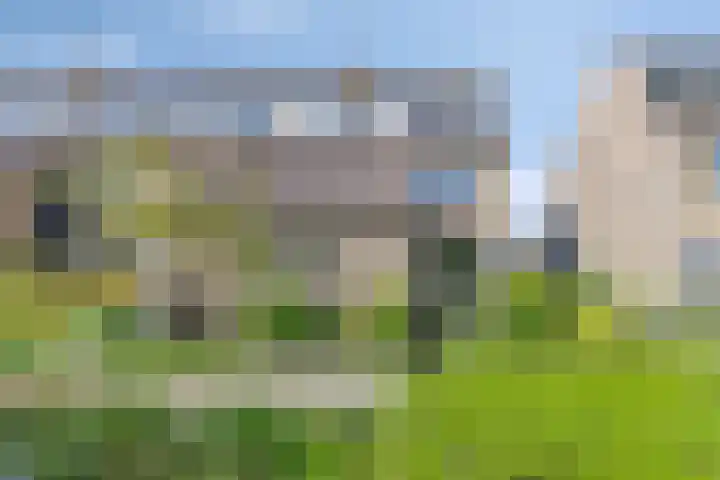 Bateweg 64 Woubrugge thumbnail 31