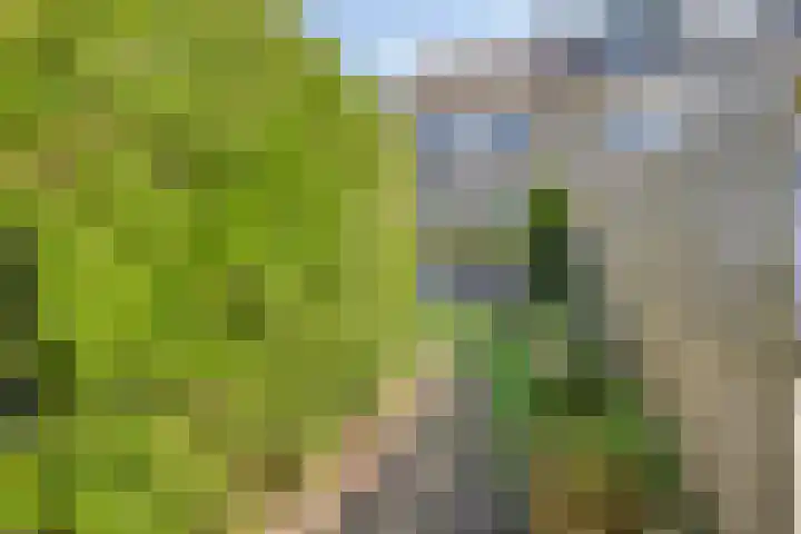 Bateweg 64 Woubrugge thumbnail 32