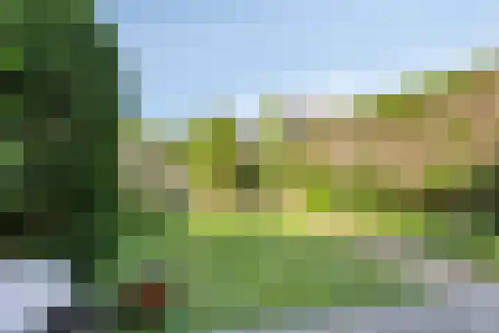 Bateweg 64 Woubrugge thumbnail 33