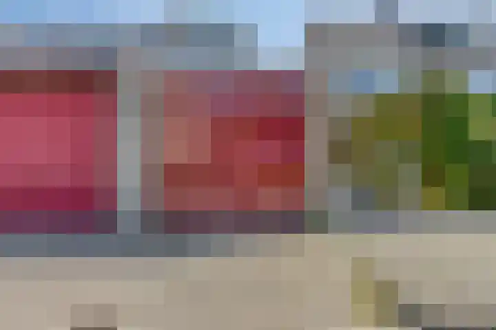 Bateweg 64 Woubrugge thumbnail 34