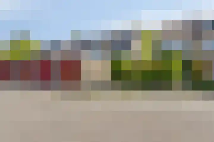 Bateweg 64 Woubrugge thumbnail 35