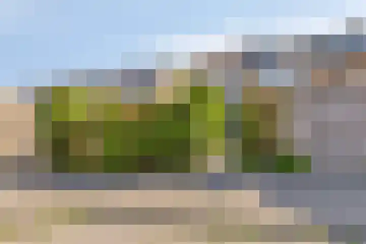 Bateweg 64 Woubrugge thumbnail 37