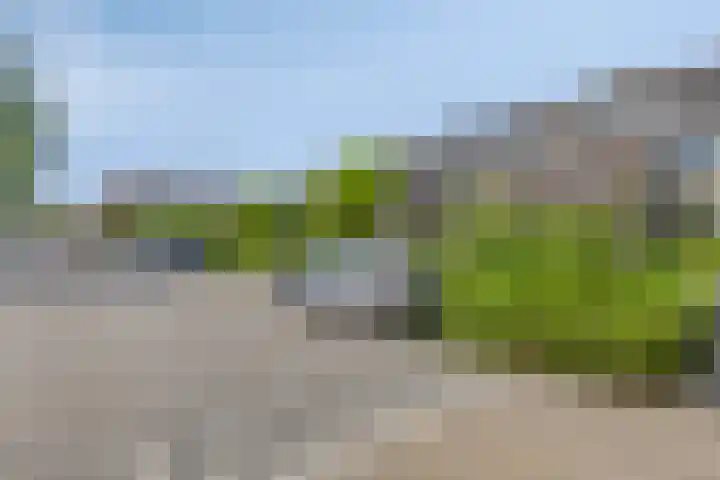 Bateweg 64 Woubrugge thumbnail 41