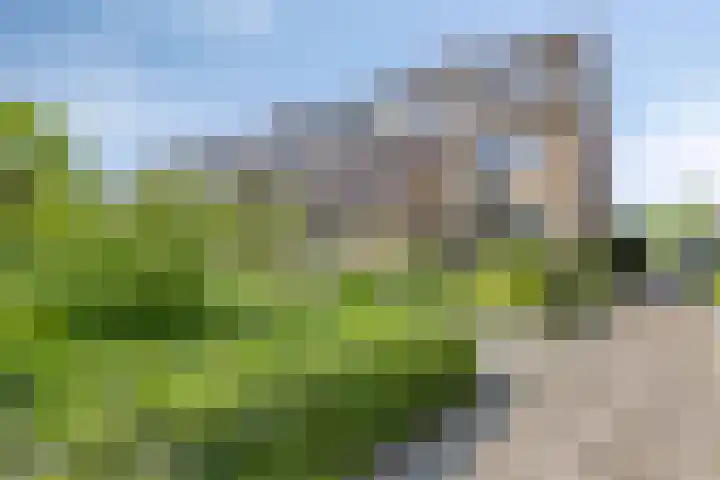 Bateweg 64 Woubrugge thumbnail 48