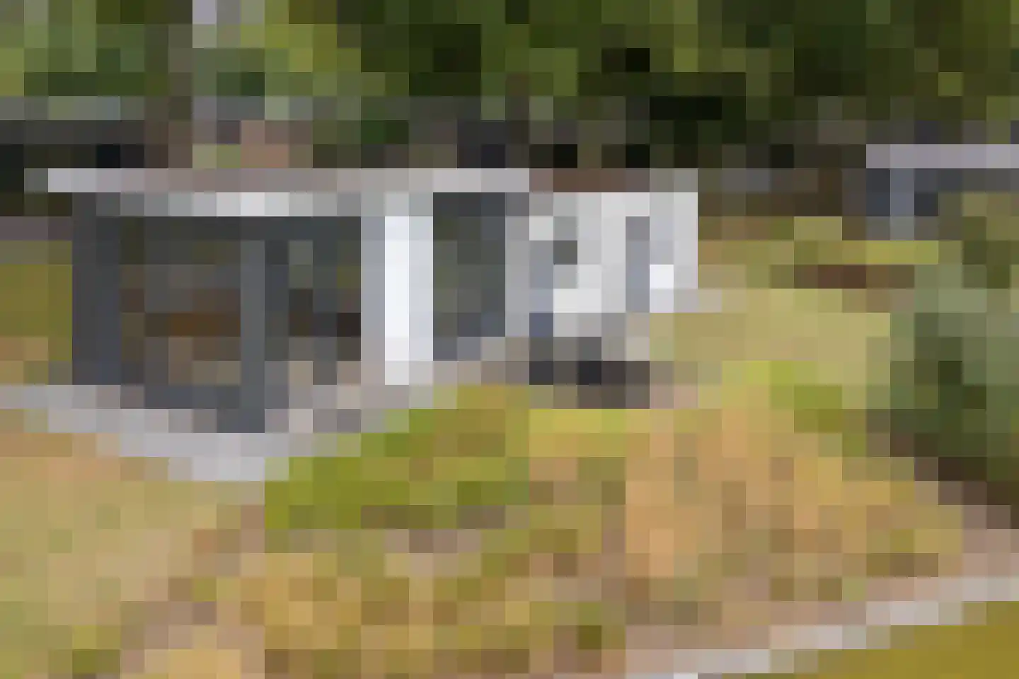 Bathmenseweg 7 H100 in Kring van Dorth