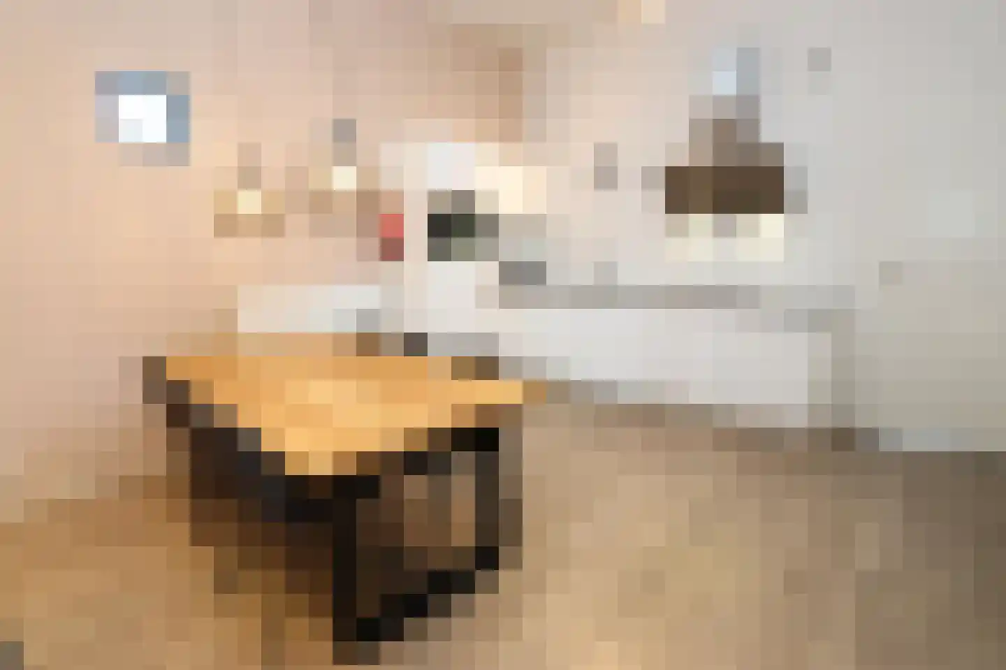 Bathmenseweg 7 H302 Epse thumbnail 12