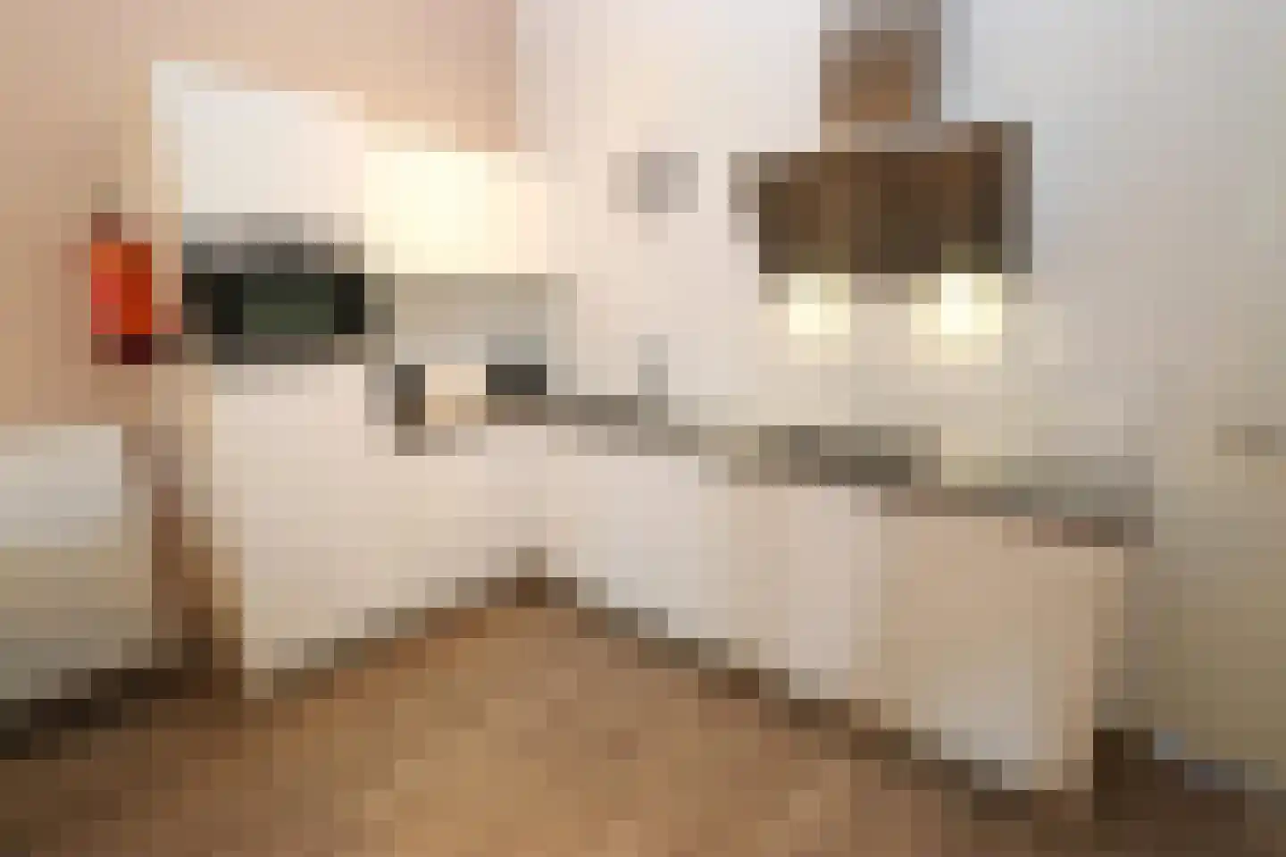 Bathmenseweg 7 H302 Epse thumbnail 13