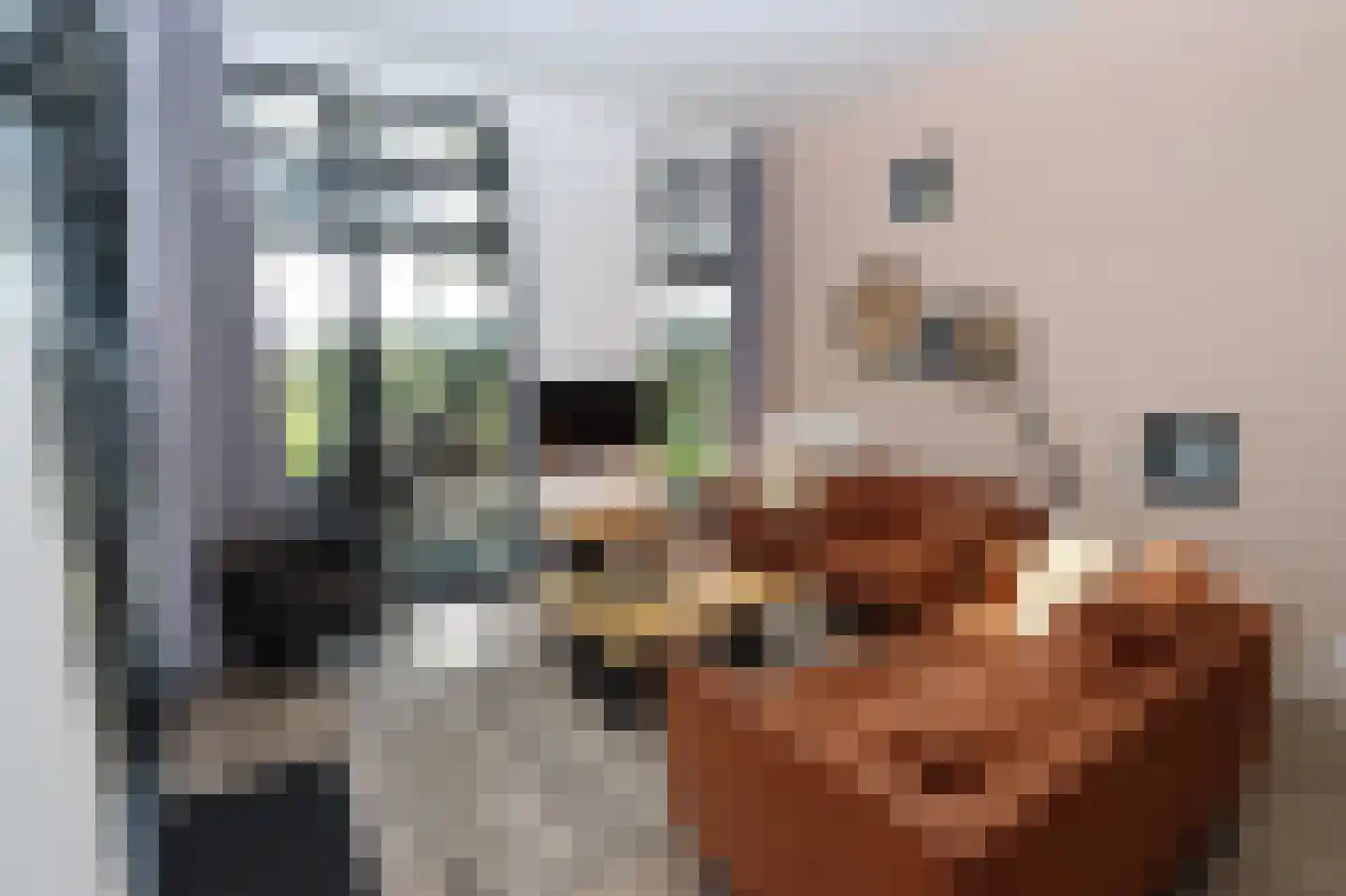 Bathmenseweg 7 H302 Epse thumbnail 9