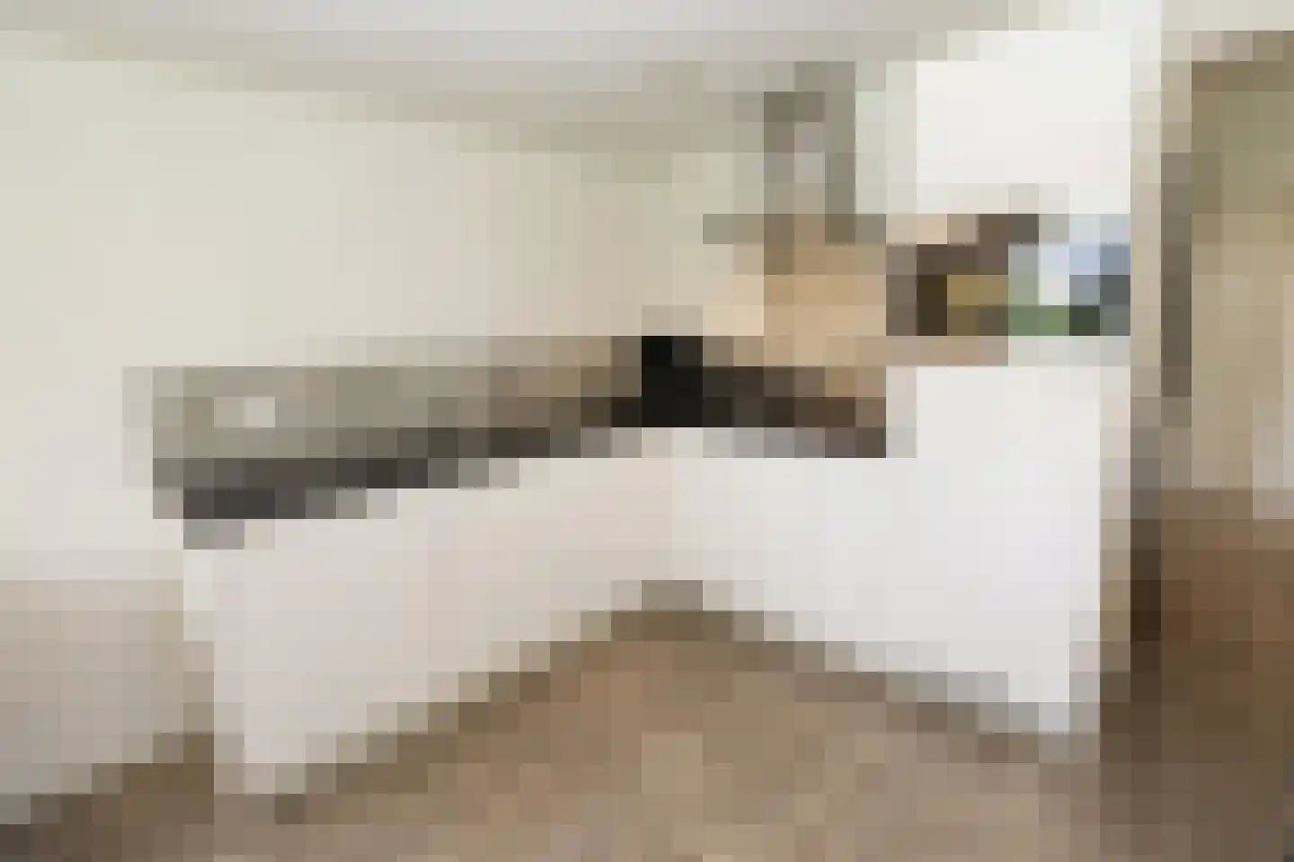 Bathmenseweg 7 H303 Epse thumbnail 10