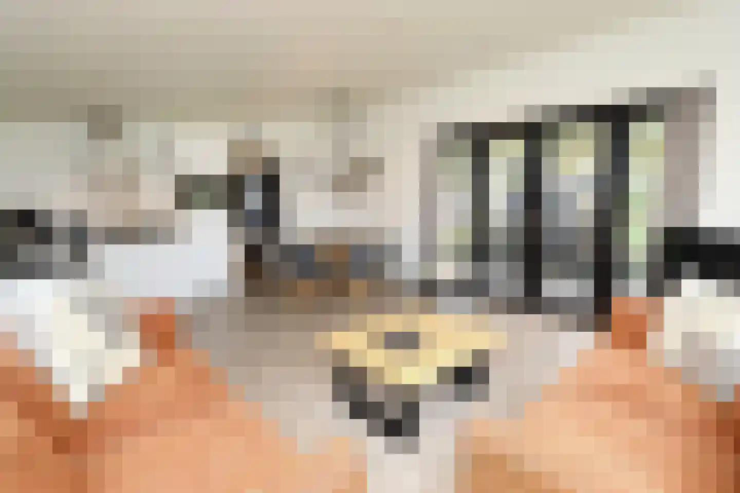 Bathmenseweg 7 H303 Epse thumbnail 7