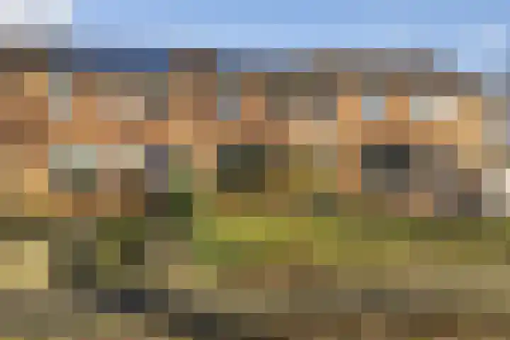 Batinge 129 Norg