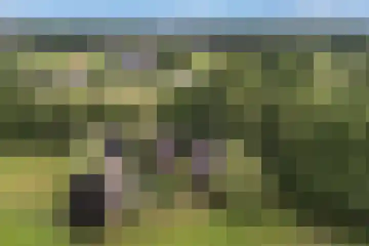 Batinge 129 Norg thumbnail 15