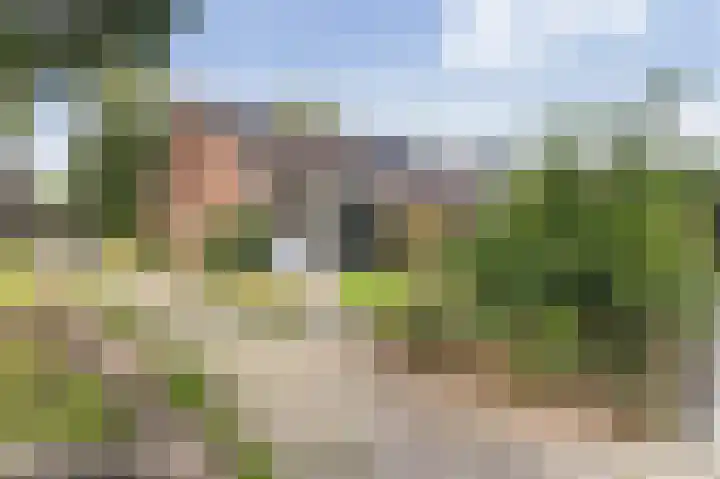 Batinge 33 Norg thumbnail 16